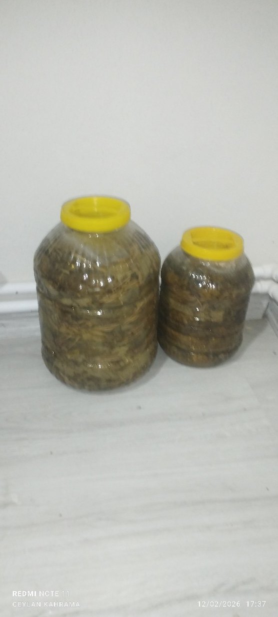 asma yaprağı - Görsel 3