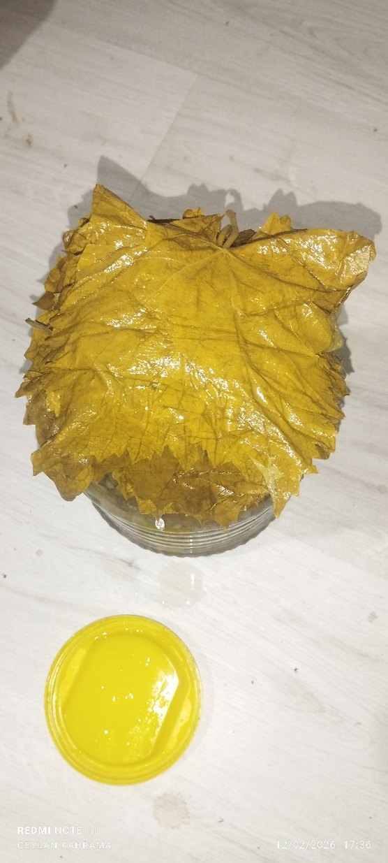 asma yaprağı - Görsel 4