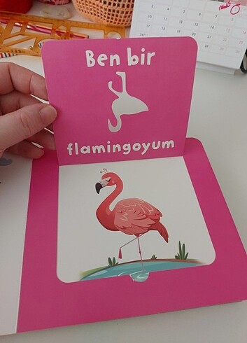 Sincap kitap
