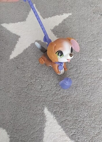 Tuvaletini yapan köpek 