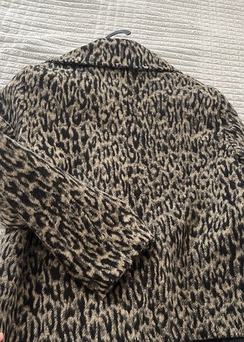 Leopar desenli kaban - Görsel 4