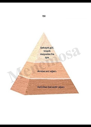 Diğer Bargello 151 no