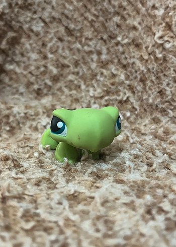 LPS miniş - Görsel 2