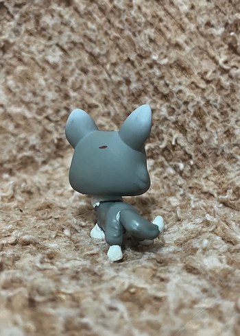 Lps miniş - Görsel 2