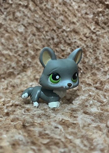 Lps miniş - Görsel 3