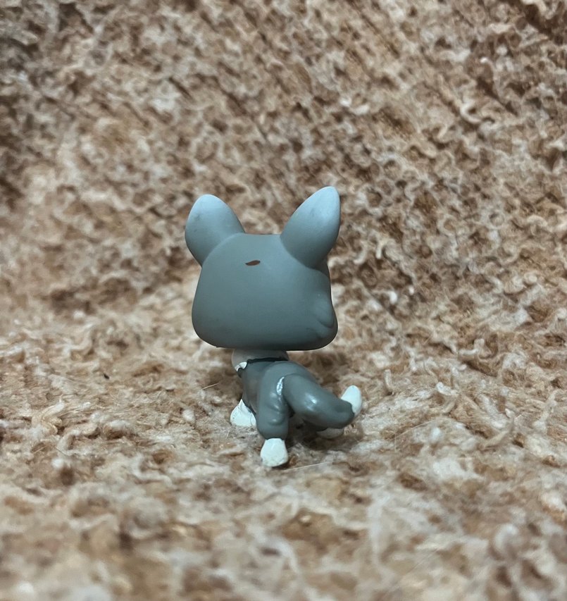 Lps miniş - Görsel 2