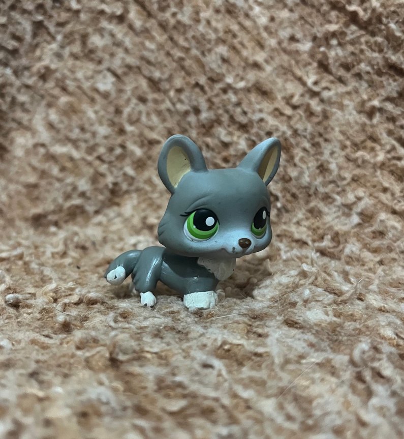 Lps miniş - Görsel 3