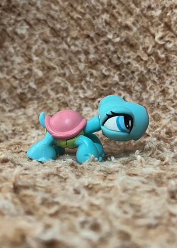 LPS miniş - Görsel 4