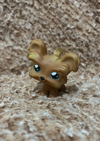 Lps miniş - Görsel 2