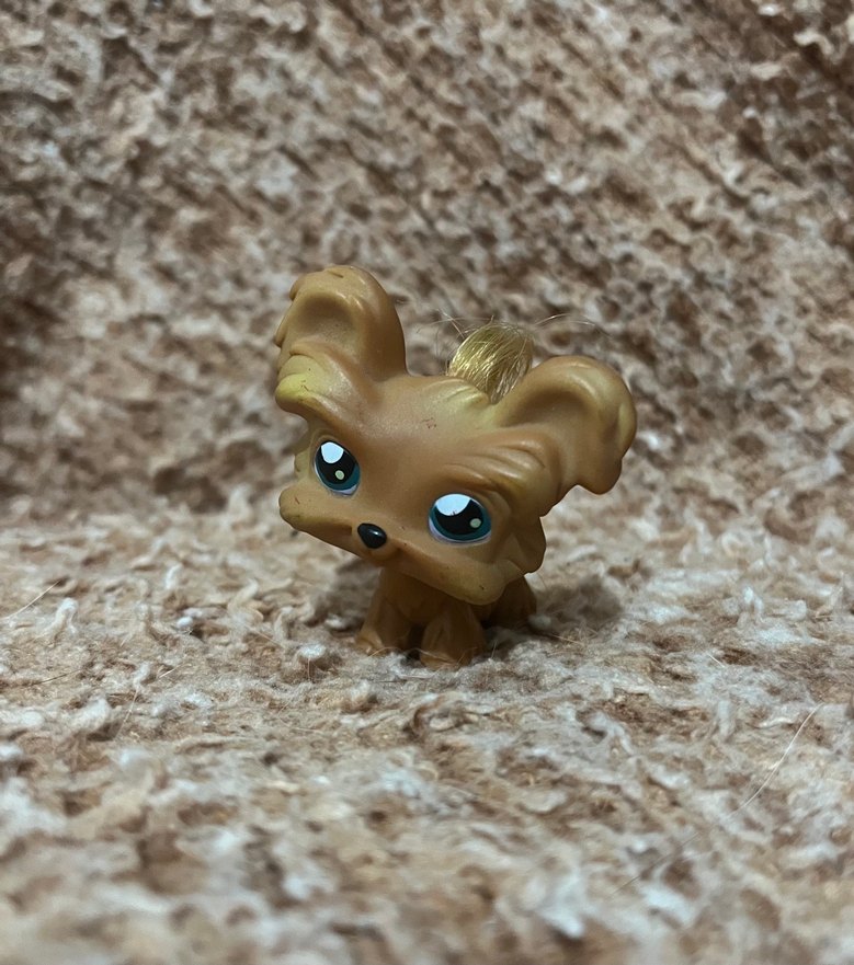 Lps miniş - Görsel 2