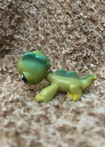 LPS miniş - Görsel 2