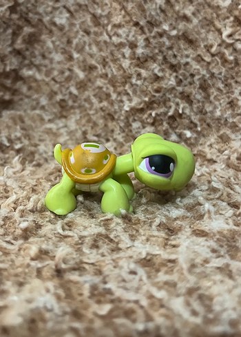 LPS miniş - Görsel 4