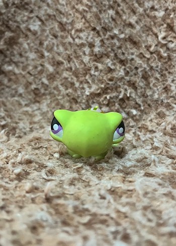 LPS miniş - Görsel 2