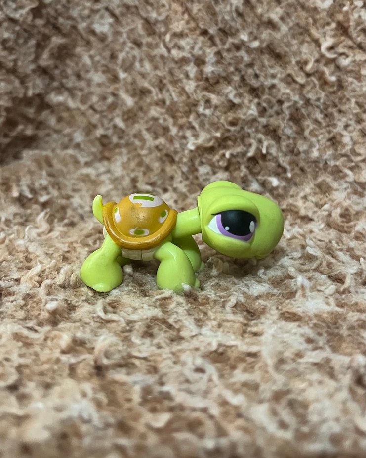 LPS miniş - Görsel 4