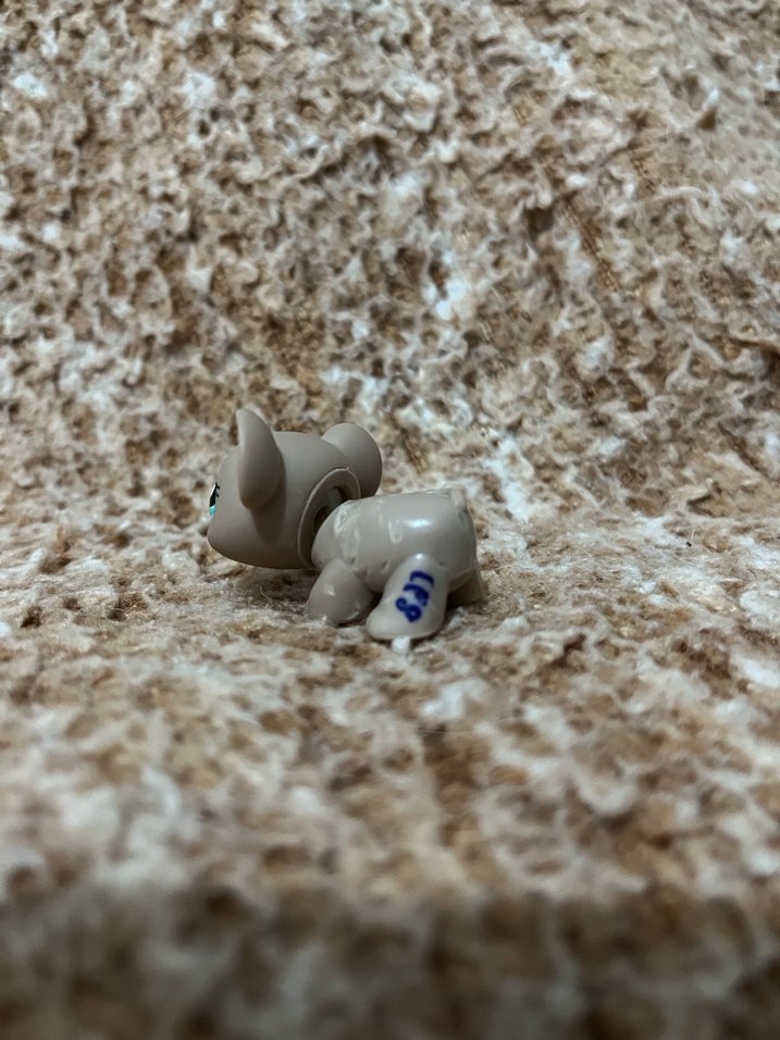 LPS miniş - Görsel 2