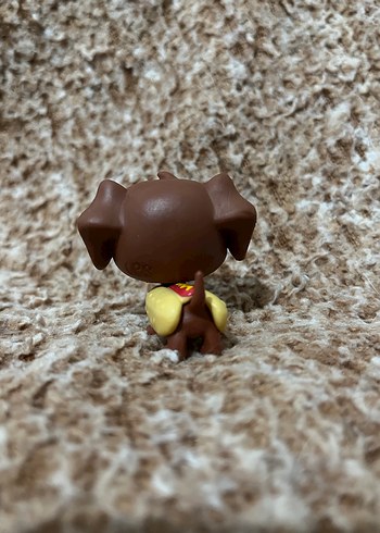 LPS miniş - Görsel 3