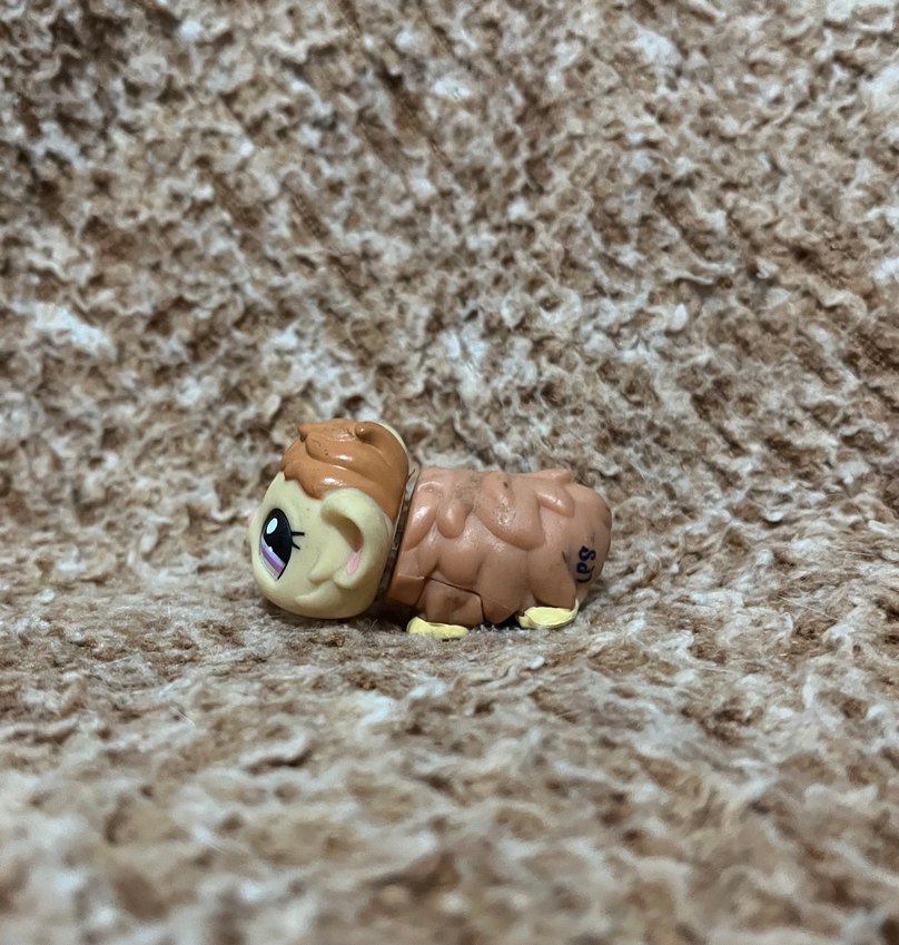 LPS miniş - Görsel 2