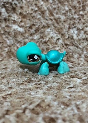 LPS miniş - Görsel 3