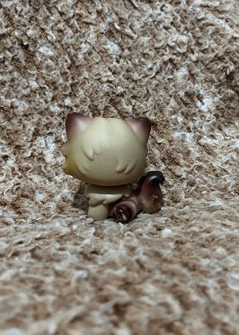 LPS miniş - Görsel 2