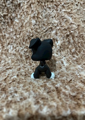 LPS miniş - Görsel 2