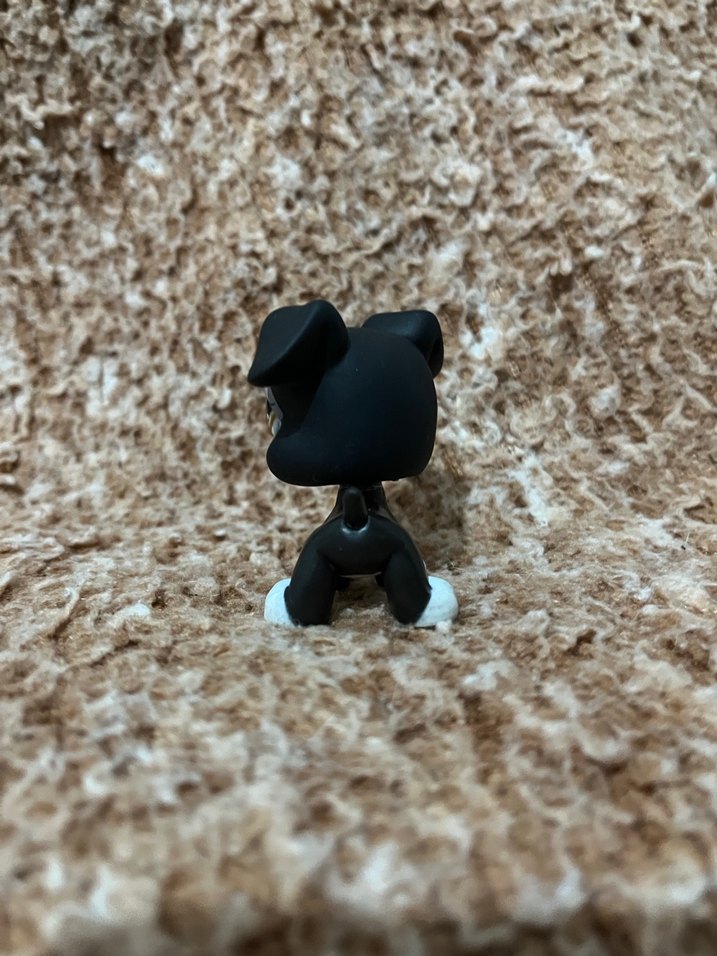 LPS miniş - Görsel 2