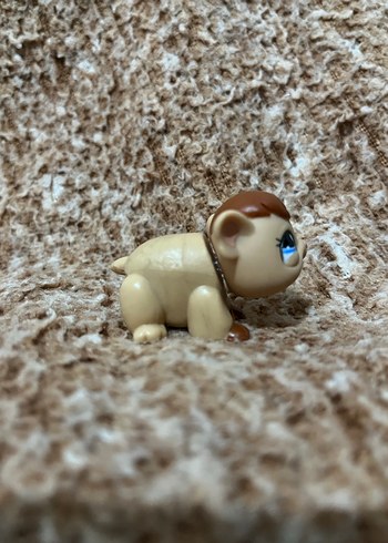 LPS miniş - Görsel 2