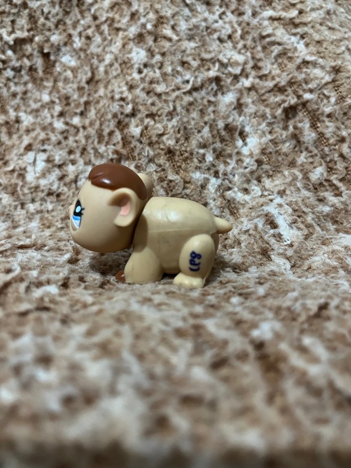 LPS miniş - Görsel 4