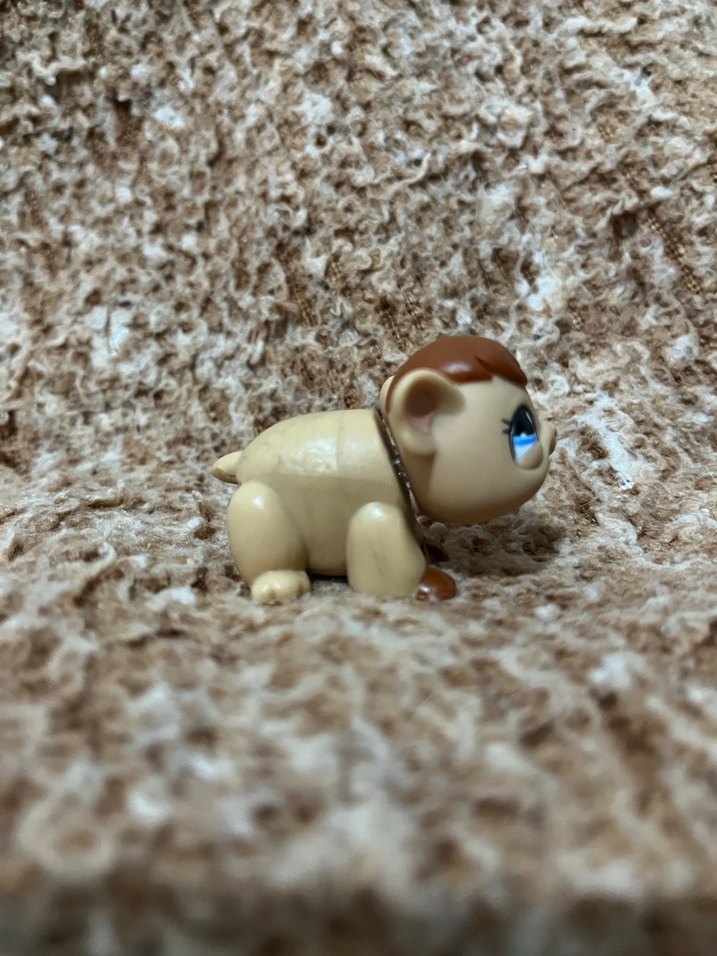 LPS miniş - Görsel 2