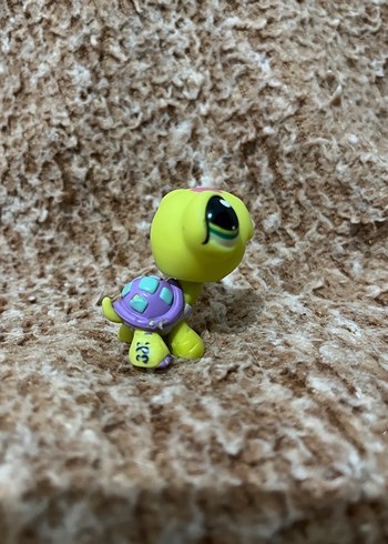 LPS miniş - Görsel 3