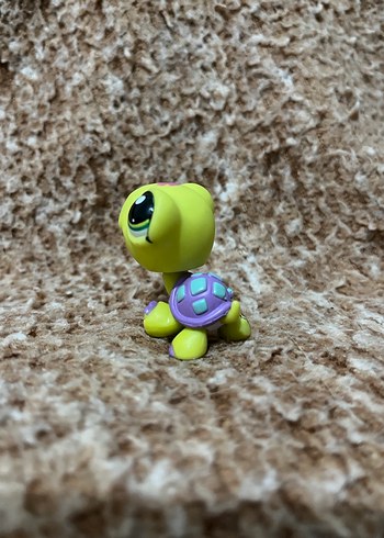 LPS miniş - Görsel 2