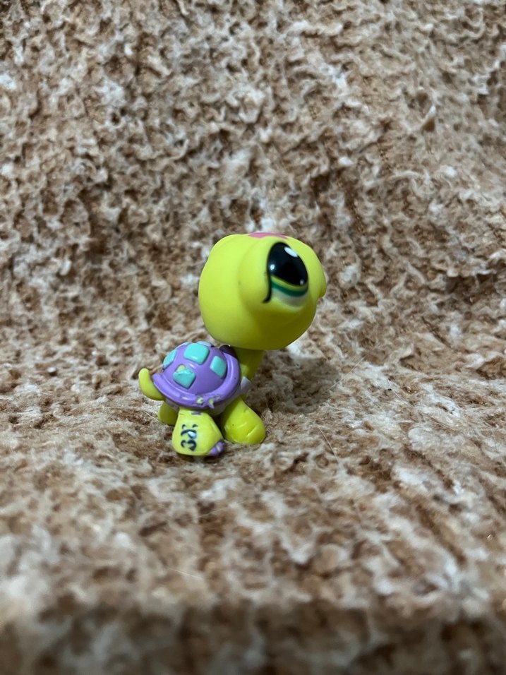 LPS miniş - Görsel 3