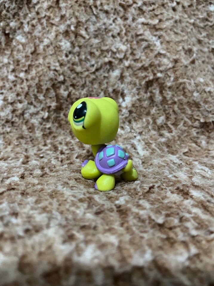 LPS miniş - Görsel 2