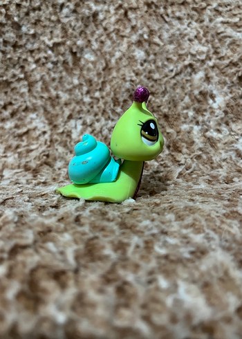 LPS miniş - Görsel 4