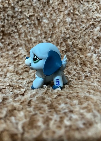 LPS miniş - Görsel 2