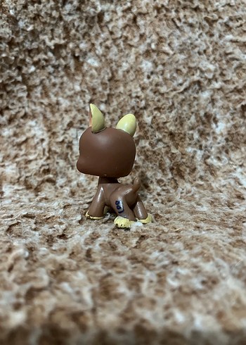 LPS miniş - Görsel 2