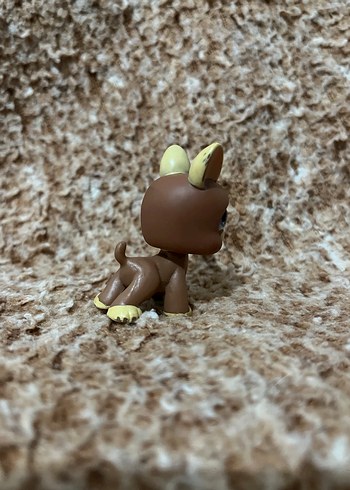 LPS miniş - Görsel 3