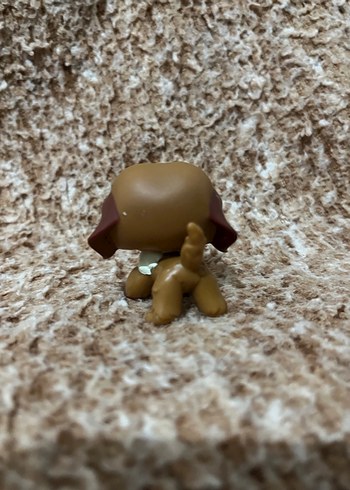 LPS miniş - Görsel 2