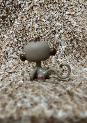 LPS miniş - Görsel 2