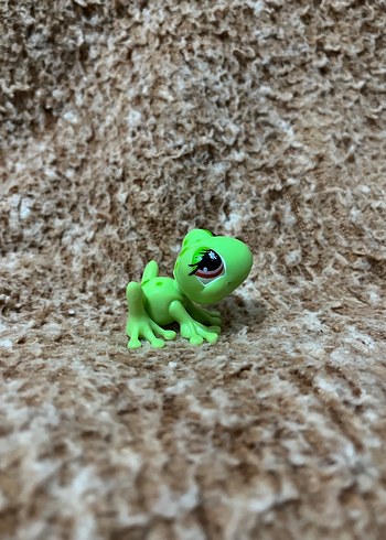 LPS miniş - Görsel 3