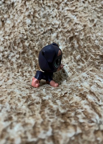 LPS miniş - Görsel 3