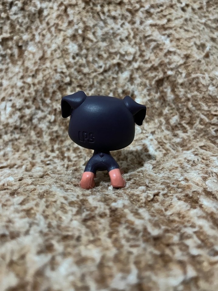 LPS miniş - Görsel 2