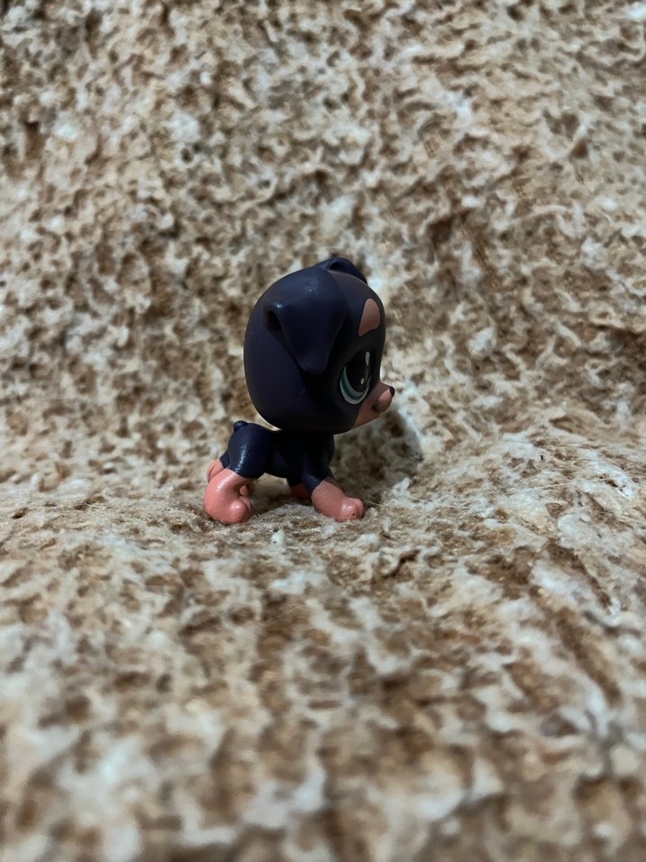 LPS miniş - Görsel 3