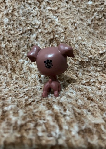 LPS miniş - Görsel 2