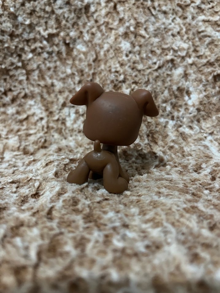 LPS miniş - Görsel 2