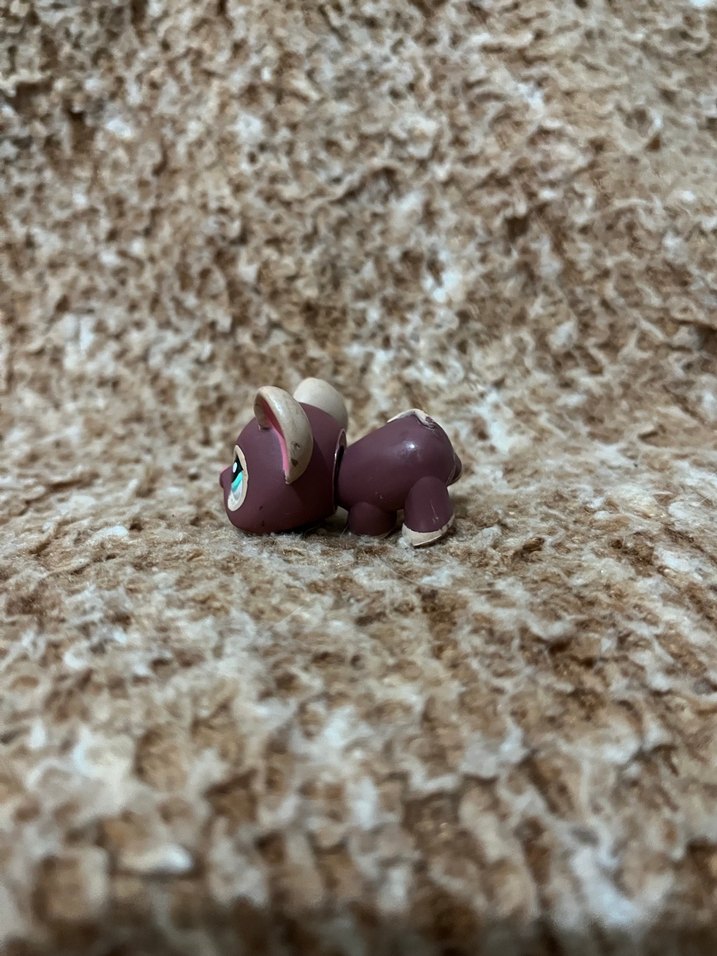 LPS miniş - Görsel 3