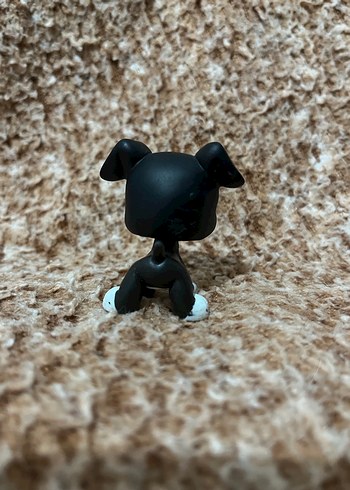 LPS miniş - Görsel 3