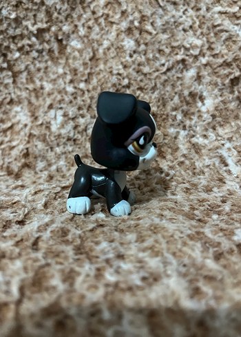 LPS miniş - Görsel 4