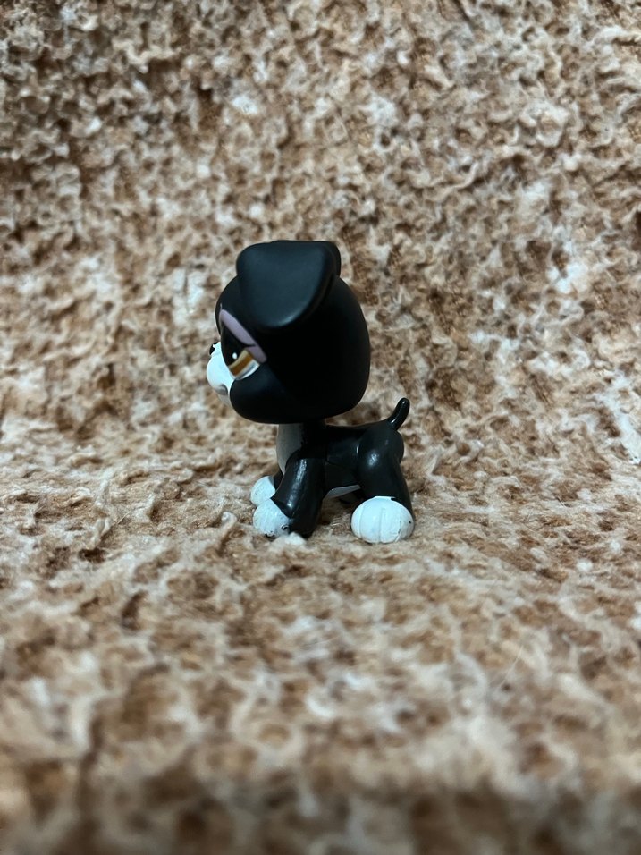 LPS miniş - Görsel 2