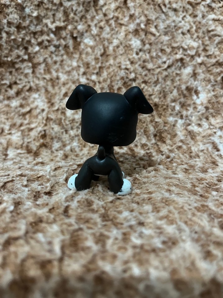 LPS miniş - Görsel 3