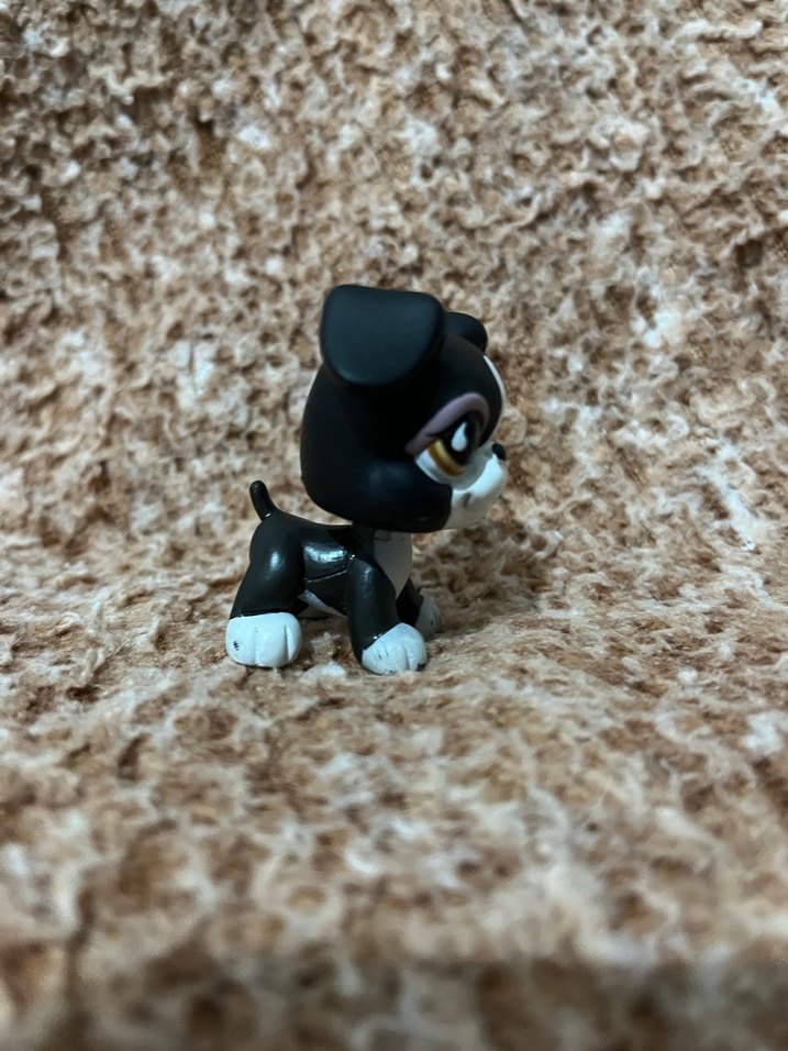 LPS miniş - Görsel 4